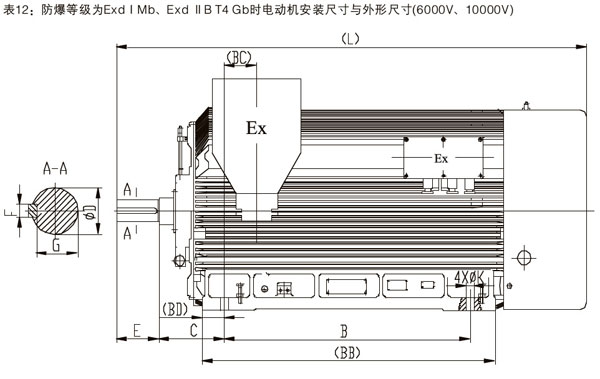 防爆電機(jī)